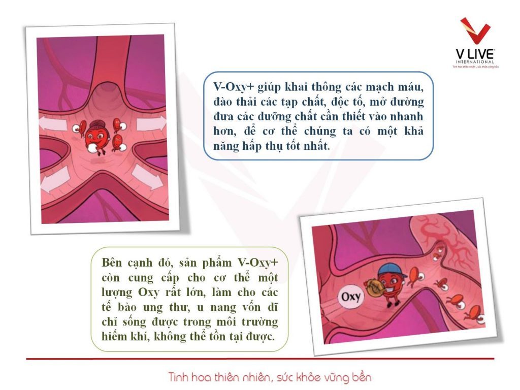 187941672_145130947638579_3025536471019684320_n-1024x768-1 187941672 145130947638579 3025536471019684320 n 1024x768 1