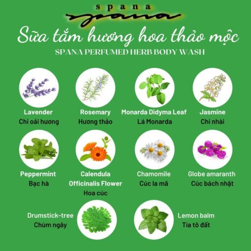 278965053_378730004146949_1964096097760642401_n-510x510-1 278965053 378730004146949 1964096097760642401 n 510x510 1