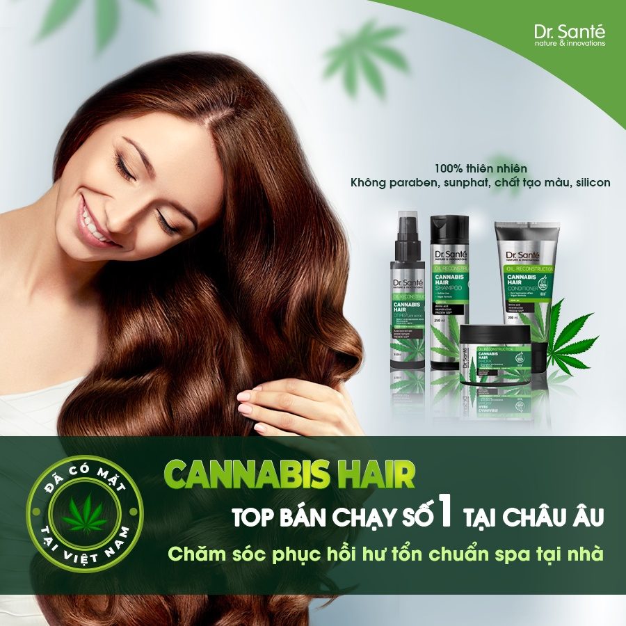 912fe49aea273828b6510b9b1ed061cb-2 Cannabis Hair chăm sóc tóc chuyên sâu và phục hồi hư tổn - top bán chạy số 1 tại Châu Âu - Siêu Thị Droppii