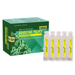 Bào tử lợi khuẩn Intest Spo NSG hỗ trợ tiêu hóa