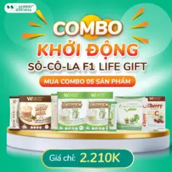 Combo Giảm cân toàn diện Life Gift