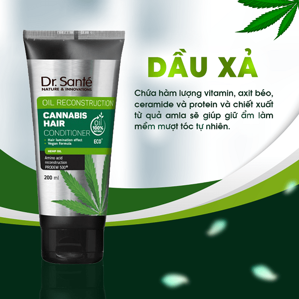 Thành phần Dầu xả chăm sóc tóc chuyên sâu, phục hồi hư tổn 200ml - Cannabis Hair chính hãng giá tốt - Siêu Thị Droppii