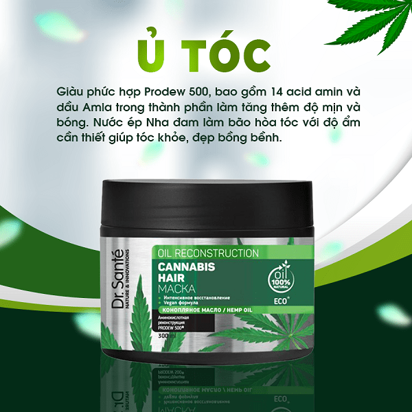 e1bba6-tc393c Thành phần và công dụng Kem ủ chăm sóc tóc chuyên sâu, phục hồi hư tổn – Cannabis Hair - Siêu Thị Droppii