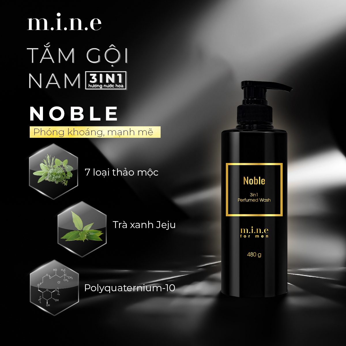 hc3acnh thc3a0nh phe1baa7n noble