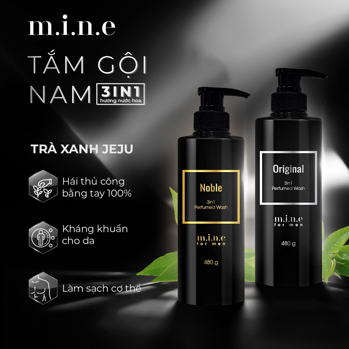 hc3acnh thc3a0nh phe1baa7n trc3a0 xanh jeju 1