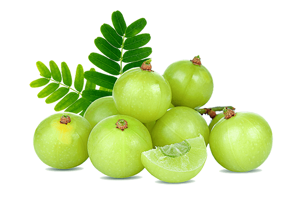 kisspng-indian-gooseberry-food-berries-fruit-kayal-herb-5d01ca5dd4682614735398156039842987-20200713085410 kisspng indian gooseberry food berries fruit kayal herb 5d01ca5dd4682614735398156039842987 20200713085410