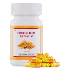 Nấm Đông trùng hạ thảo – X3 (30 viên)
