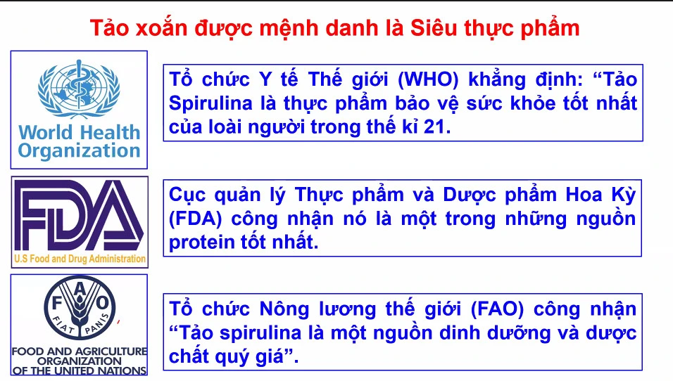 tao-xoan-tao-spirulina-duoc-menh-danh-la-sieu-thuc-pham Tảo xoắn (Tảo Spirulina) được mệnh danh là siêu thực phẩm