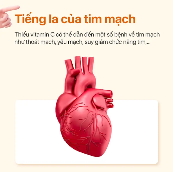 vitamin-c-la-thanh-phan-quan-trong-doi-voi-suc-khoe-mach-mau-ester-c Vitamin C Là Thành Phần Quan Trọng đối Với Sức Khỏe Mạch Máu - Ester C